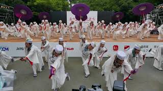 しん（2017スーパーよさこい・一日目・神宮会館ステージ）