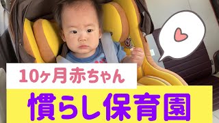 【10ヶ月赤ちゃん】【育児】【子育て】慣らし保育で保育園デビュー！