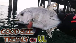 Trevally on Ultralight setup..