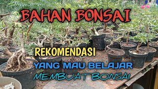 REKOMENDASI BAHAN UNTUK BELAJAR MEMBUAT BONSAI