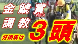 金鯱賞2024　追い切り診断！！　プログノーシス、ドゥレッツァ、ヤマニンサルバム等　元馬術選手のコラム by アラシ