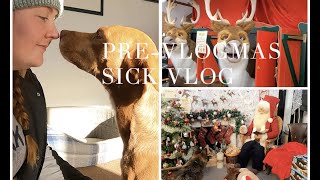 Pre-Vlogmas Sick Day Vlog - Decorate With Me | Shelly Coco