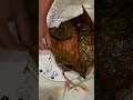 porotta meen pollichathu porotta food kerala keralastyle fish foodlover tasty nadan cooking