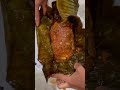 porotta meen pollichathu porotta food kerala keralastyle fish foodlover tasty nadan cooking