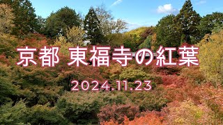 京都 「東福寺」の紅葉と「本坊」庭園　臨済宗大本山 -日本最古の最大級の伽藍(がらん) ＃京都＃東福寺＃紅葉 #kyoto