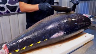 Download Mp3 World s Sharpest Tuna Knife Superb yellowfin Tuna cutting skill Luxurious sashimi 最鋒利的刀 黃鰭鮪魚切割技能