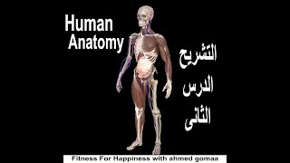 كورس CFT الفيديو الثانى التشريح (Human Anatomy)