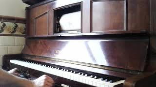 Fascination, valse tzigane | T. D. Marchetti | Pianola Steck player piano |