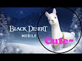 Black Desert Mobile - Alpaca :D shai~~