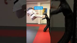 Karate vs. Ameridote 👊