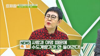 시청률 보증수표! 드라마 역사의 산증인 남능미(Nam Neungmi)b TV정보쇼 알짜왕(alzzaking) 245회 | JTBC 211104 방송