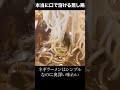 本当に口で溶けちゃう蒸し鶏！青山シャンウェイ【千駄ヶ谷ランチ】 東京グルメ 千駄ヶ谷 町中華