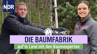 Gepflanzt und über Jahre geformt: Edle Bäume für die ganze Welt | Die Baumexperten | Folge 02