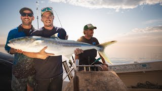 BIG Yellowtail Kingfish in South Australia