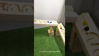 Marble Run Asmr ☆ playing marble run with my twin cat funny #shorts