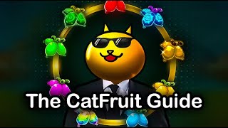 Everything You Need to Know About Catfruit