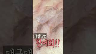 랍스터를 서비스로 KBS 8월 5일 방송 인천 60첩 반상 횟집은 진짜 60첩을 줄까?? #shorts #쇼츠