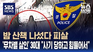 밤 산책 나섰다 피살…'무차별 살인' 30대 사기 당하고 힘들어서 / SBS / 편상욱의 뉴스브리핑