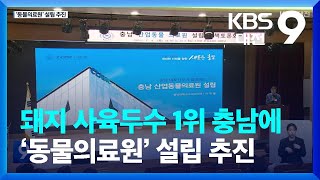 돼지 사육두수 1위 충남에 ‘동물의료원’ 설립 추진 / KBS  2023.07.09.