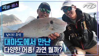 [Full/퀵써-비스] 벵에돔 갯바위\u0026선상 낚시!!를 하다가 만난 다양한 녀석들은?! [낚시의 추억/13회]