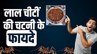 Red Ant Chutney: लाल चींटी की चटनी में छुपा है सेहत का खजाना, दूर हो जाती हैं ये बीमारियां