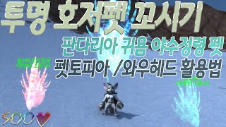 [와우] 판다리아 투명 호저펫 길들이기! 펫토피아/와우헤드 활용법