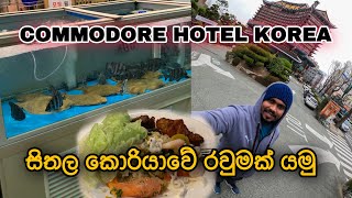 පන පිටින් මාලු කන කොරියාවේ විදී | Commodore hotel busan | sailor in Korea