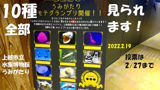 全部見せます！うみがたりモテグランプリ・上越市水族館うみがたり（2022.2.19）