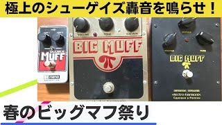 【エフェクター】BIGMUFF祭り　歪みにこだわったマイブラサウンド