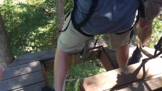 Sonoma Canopy Tours Tree Top Adventure Challenge