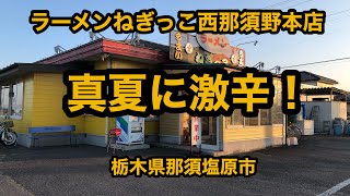 ラーメンねぎっこ西那須野本店（栃木県那須塩原市）真夏に激辛！