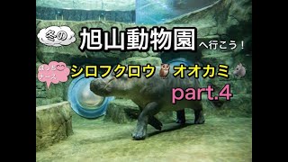 #12【ぼっちナース💉】旭川の冬の動物園🦉旭山動物園✨part.4【シロフクロウ・オオカミの森】asahiyamazoo,asahikawa