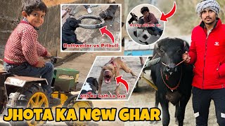 Vihu Ko Tractor Pe Nishu Deshwal Ka Photo Lagvana🥳 New Pitbull Ghar Aate Hi Pikku Se Atak Gaya