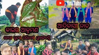 ଜୁଆଙ୍ଗ ବସ୍ତି କେତେ ସୁନ୍ଦର କେତେ ଶାନ୍ତ ପରିବେଶ,,,,,