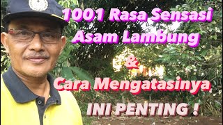 1001 Rasa Sensasi Asam Lambung dan Solusinya ​⁠@berbagisehat5049