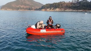 통영 추봉도 고무보트 카고 감성돔 낚시와 유비끼회.Tongyeong Chubongdo Rubber Boat Cargo Black Sea Bream Fishing, Sashimi.