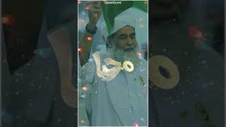 Agye Sarkar Jhoomo Rabi ul Awal Naat | Milad Special | Maulana Ilyas Qadri | #short | #shorts
