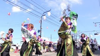 纏り衆縁陣2018【兆ノ陣】高知よさこい-万々演舞場-