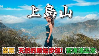 雲霧繚繞的《苗栗上島山》下山泡湯整個好舒壓｜百岳訓練場｜中級山｜泰安溫泉｜水雲三星｜Outdoor｜台灣苗栗Miaoli Taiwan