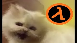 Deaf cat - HL SFX