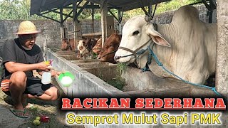 Sapi PMK Bisa Sembuh Asal Tlaten \u0026 Tepat Penanganan‼️