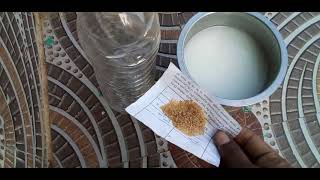 மோர் பெருங்காய கரைசல் செய்வது எப்படி ? How to make Mor perungaya karaisal in tamil Easy way 360