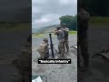 basically infantry