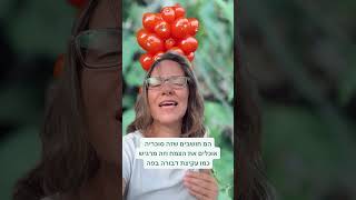 הצמחים הכי מרעילים בישראל