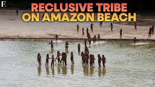 WATCH: Reclusive Tribe on Peru Beach Show Logging Concessions are 'Dangerously Close' | FPNews