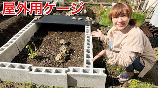 超簡単！リクガメの屋外用飼育ケージを庭に作ってみた