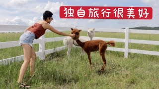 河北塞罕坝的草原湿地｜偶遇粉丝啦｜床车自驾Ep. 14