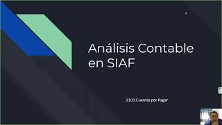 Analisis Contable 2103 en Siaf