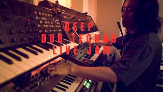 Deep Dub Techno Live Performance | Analog Hardware \u0026 Ableton | \