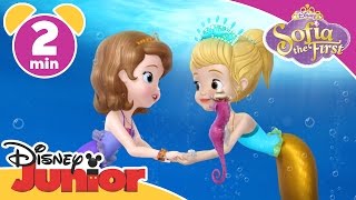 Sofia the First | Mermaid Party | Disney Junior UK